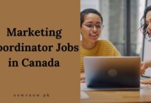 Marketing Coordinator Jobs in Canada