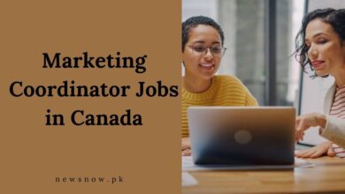 Marketing Coordinator Jobs in Canada