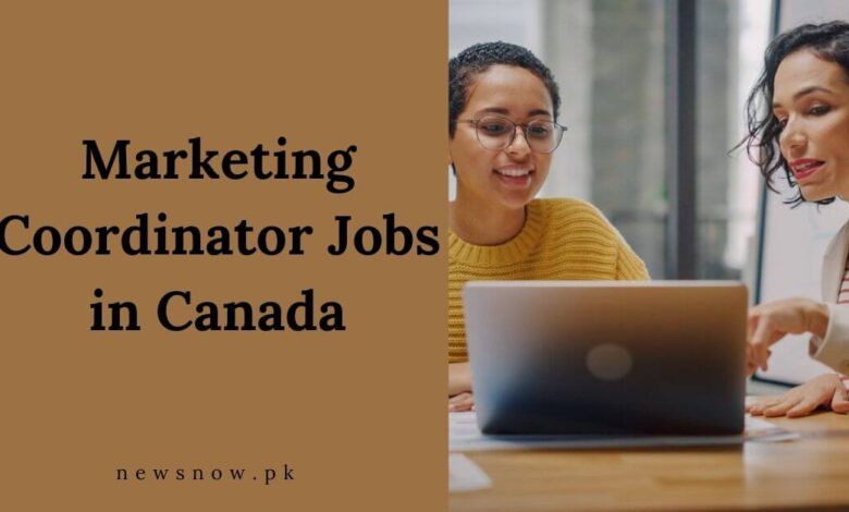 Marketing Coordinator Jobs in Canada