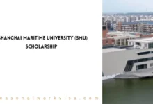 Shanghai Maritime University Scholarship