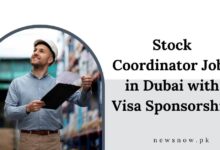 Stock Coordinator Jobs in Dubai with Visa Sponsorship