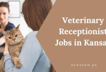 Veterinary Receptionist Jobs in Kansas