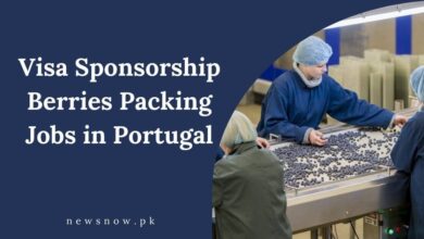 Visa Sponsorship Berries Packing Jobs in Portugal