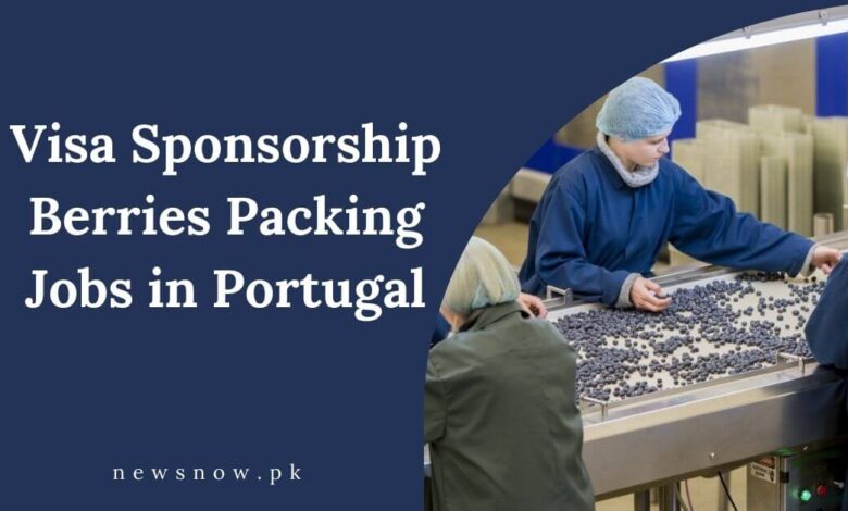 Visa Sponsorship Berries Packing Jobs in Portugal