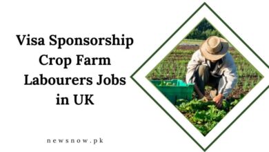 Visa Sponsorship Crop Farm Labourers Jobs in UK