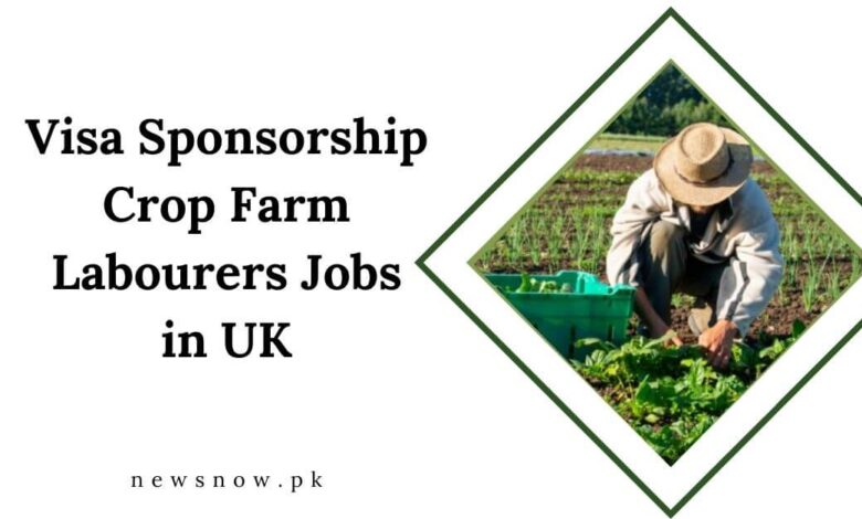 Visa Sponsorship Crop Farm Labourers Jobs in UK