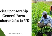 Visa Sponsorship General Farm Laborer Jobs in UK