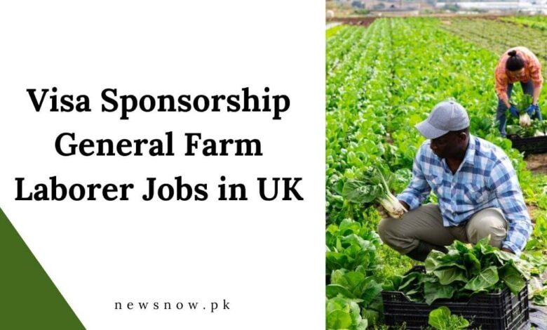 Visa Sponsorship General Farm Laborer Jobs in UK