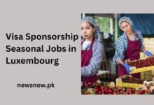 Visa Sponsorship Seasonal Jobs in Luxembourg