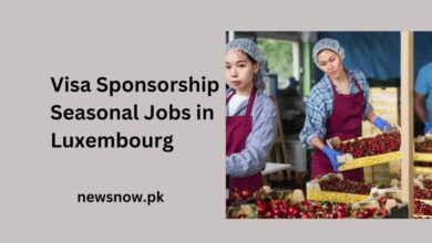 Visa Sponsorship Seasonal Jobs in Luxembourg