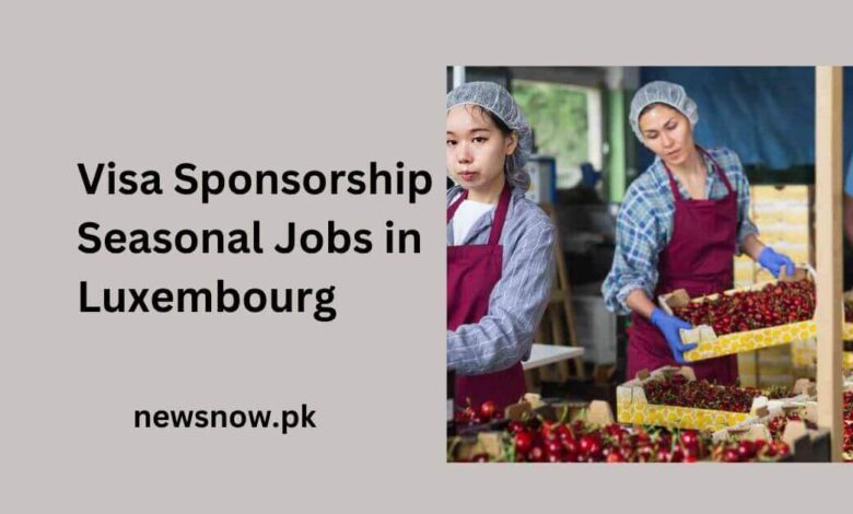 Visa Sponsorship Seasonal Jobs in Luxembourg