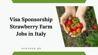 Visa Sponsorship Strawberry Farm Jobs in Italy