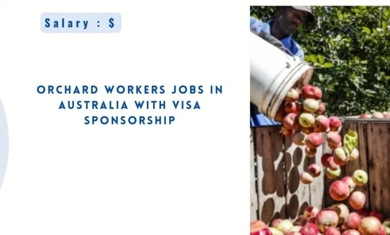 Orchard Workers Jobs in Australia