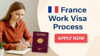 France Work Visa Process