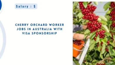 Cherry Orchard Worker Jobs in Australia