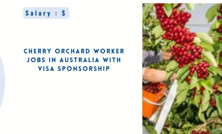 Cherry Orchard Worker Jobs in Australia