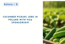 Cucumber Picking Jobs in Poland