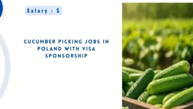 Cucumber Picking Jobs in Poland