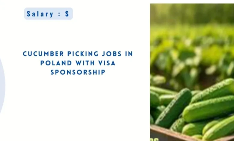 Cucumber Picking Jobs in Poland