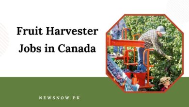 Fruit Harvester Jobs in Canada