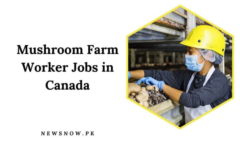 Mushroom Farm Worker Jobs in Canada