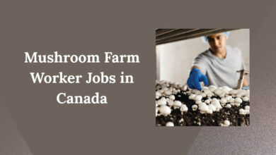 Mushroom Farm Worker Jobs in Canada