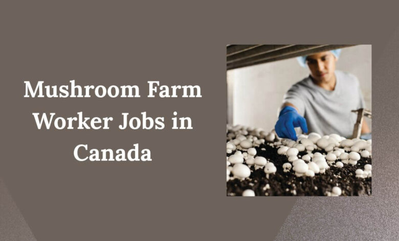 Mushroom Farm Worker Jobs in Canada