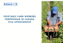 Vegetable Farm Workers Forewoman in Canada