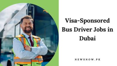 Visa-Sponsored Bus Driver Jobs in Dubai