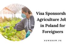 Visa Sponsorship Agriculture Jobs in Poland for Foreigners