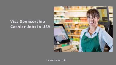 Visa Sponsorship Cashier Jobs in USA