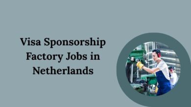 Visa Sponsorship Factory Jobs in Netherlands