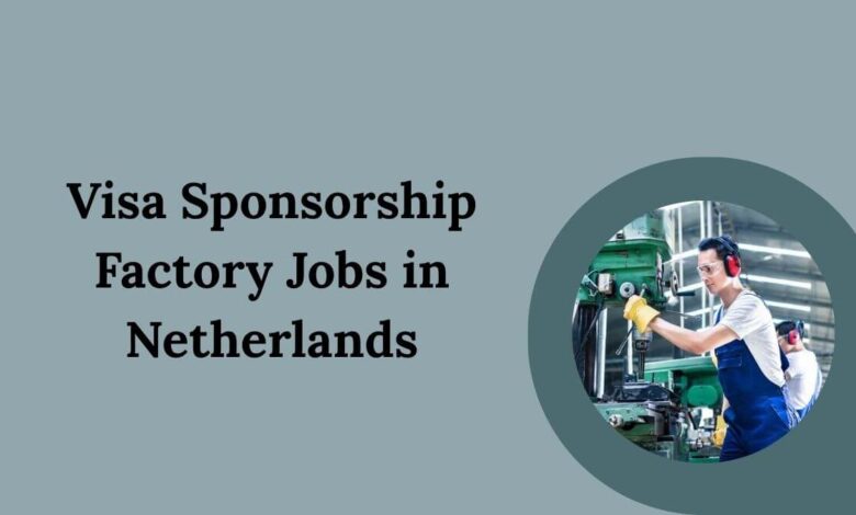 Visa Sponsorship Factory Jobs in Netherlands