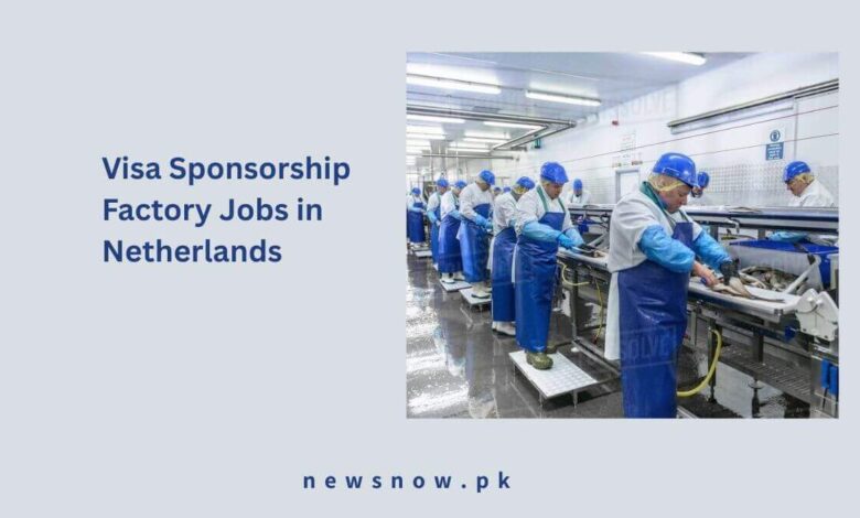 Visa Sponsorship Factory Jobs in Netherlands