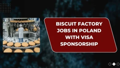 Biscuit Factory Jobs in Poland