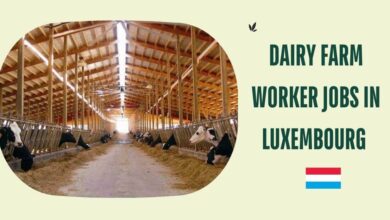 Dairy Farm Worker Jobs in Luxembourg