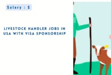 Livestock Handler Jobs in USA