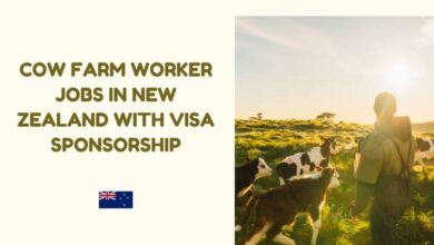 Cow Farm Worker Jobs in New Zealand with Visa Sponsorship