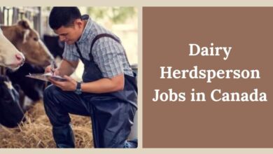 Dairy Herdsperson Jobs in Canada