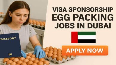 Visa Sponsorship Egg Packing Jobs in Dubai